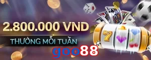 goo88