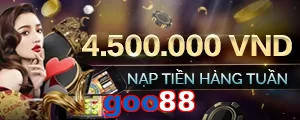 goo88