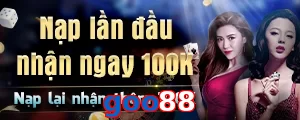 goo88