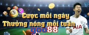 goo88